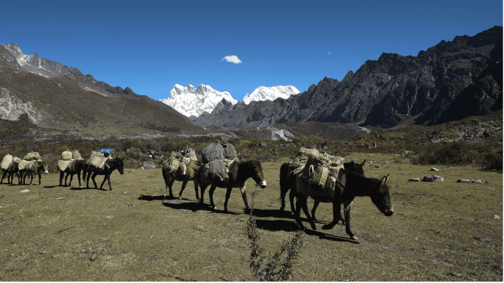 Trekking