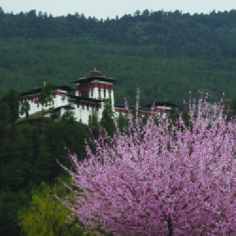 Jakar Dzong above the Chamkhar valley
