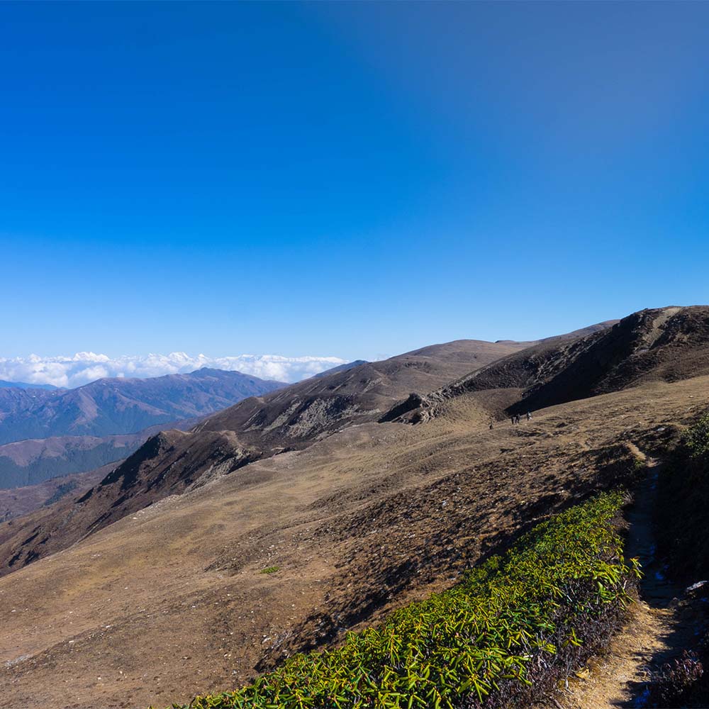 The Dagala trail in the hills above Chukha