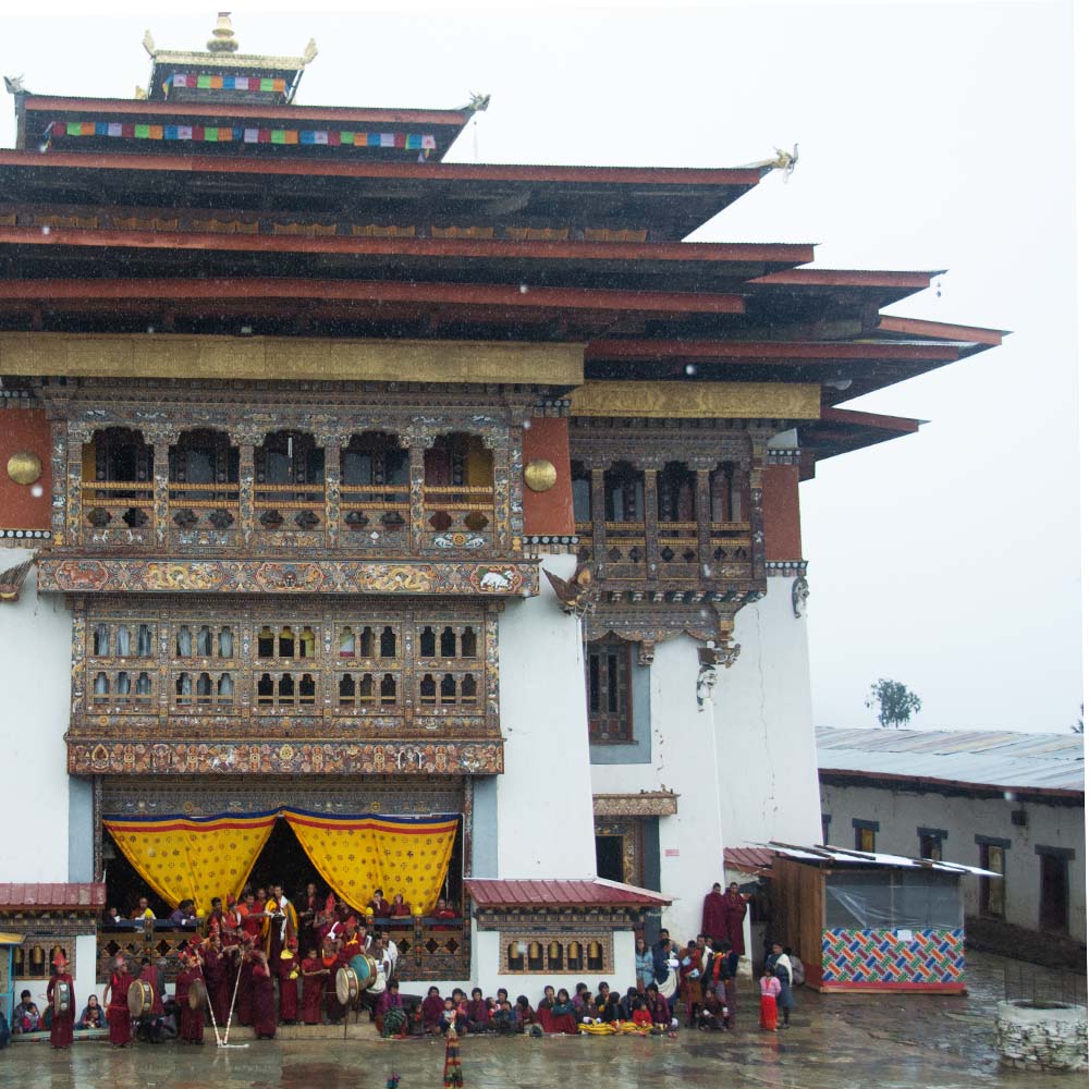 The Black-Necked Crane Festival at Gangtey