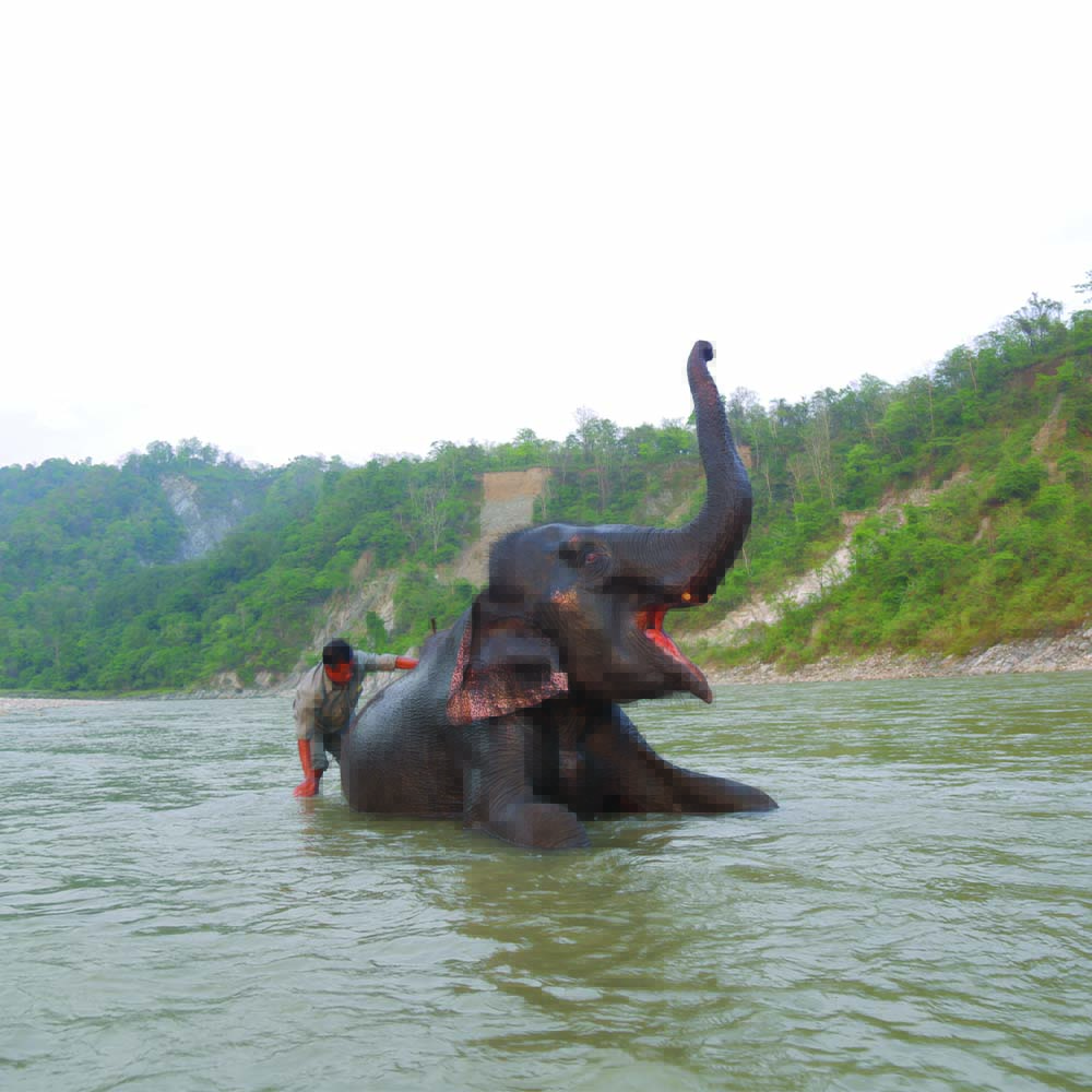 The Royal Manas National Park