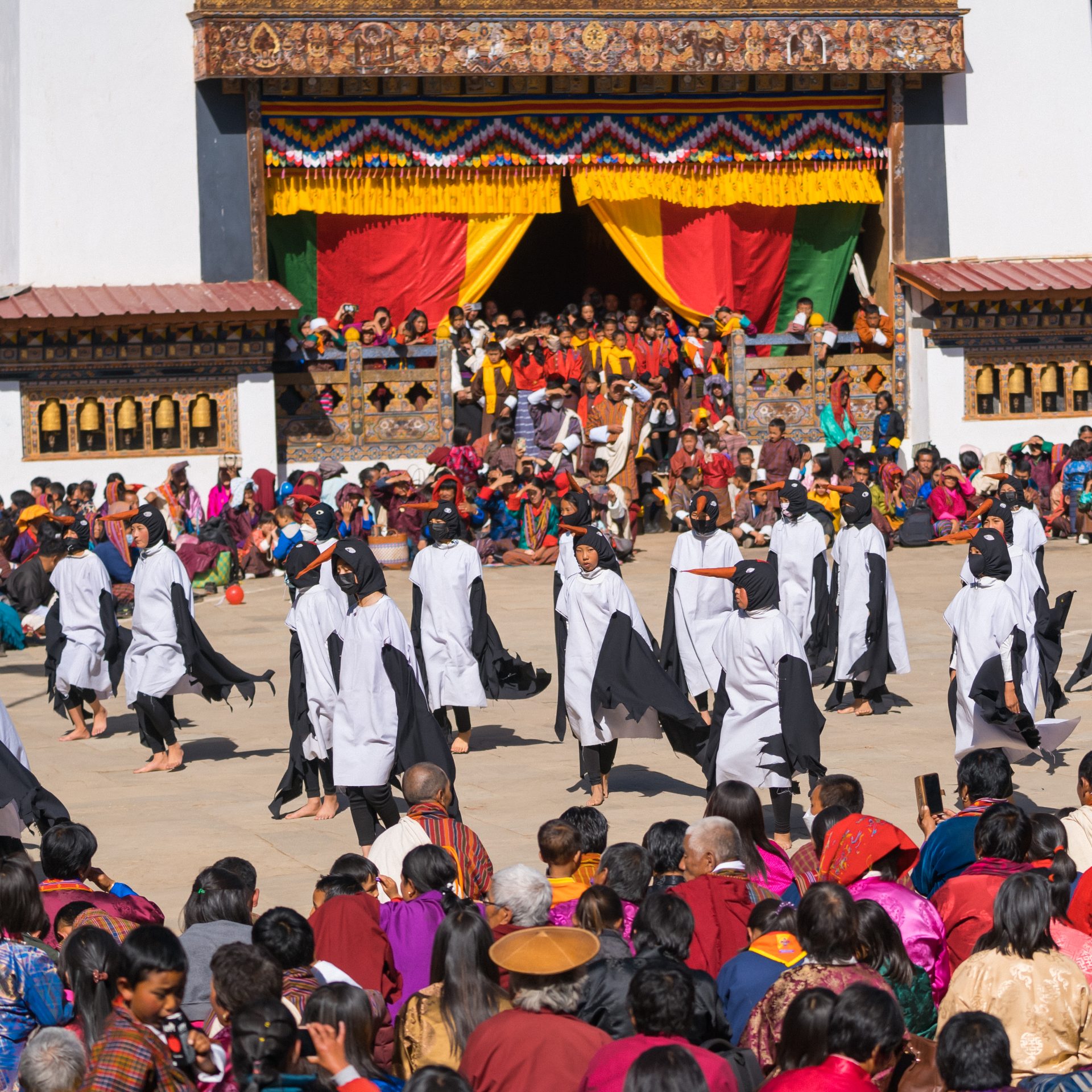 The crane dance at the Black-necked Crane Festival in Gangtey