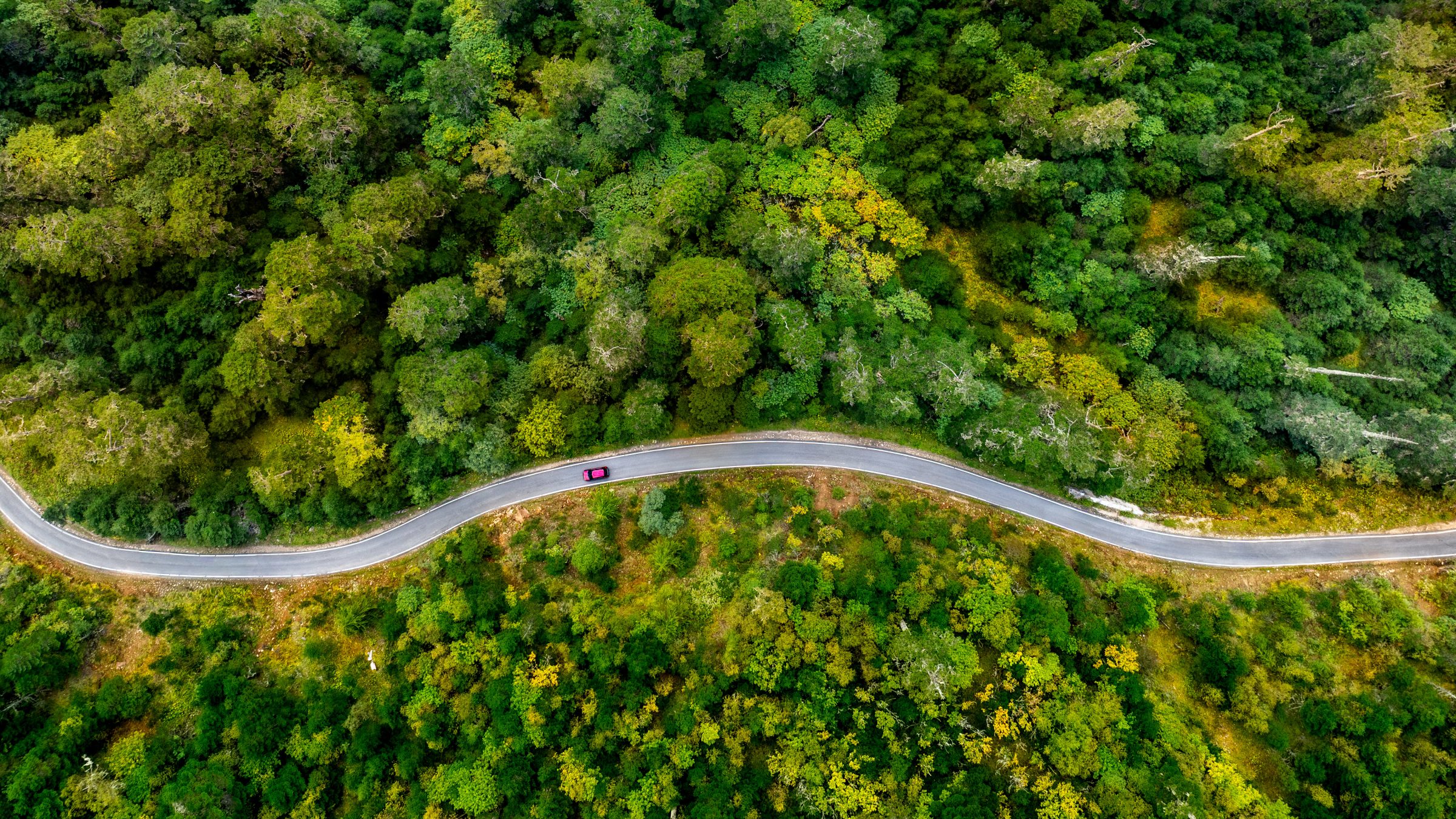 A car on the forest highway winding through the hills above Paro