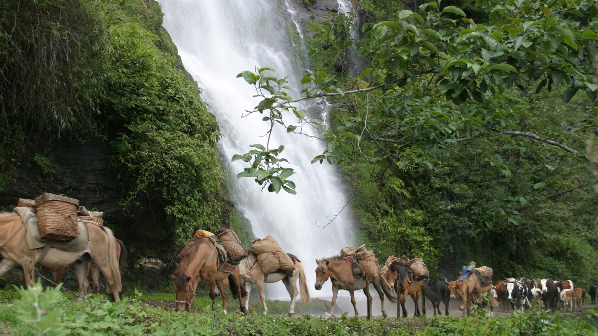 Trekking in Bhutan