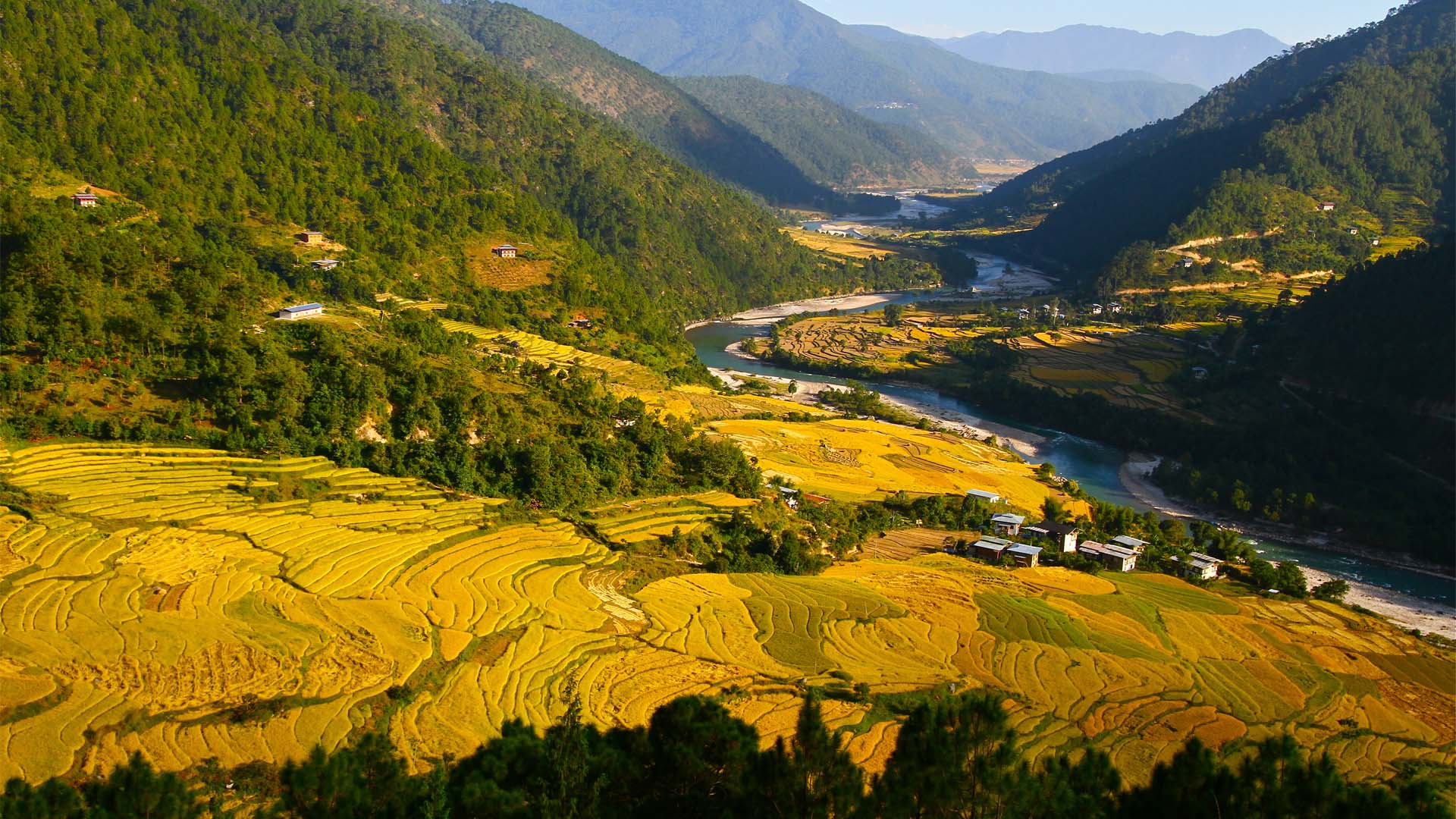 The upper Punakha valley