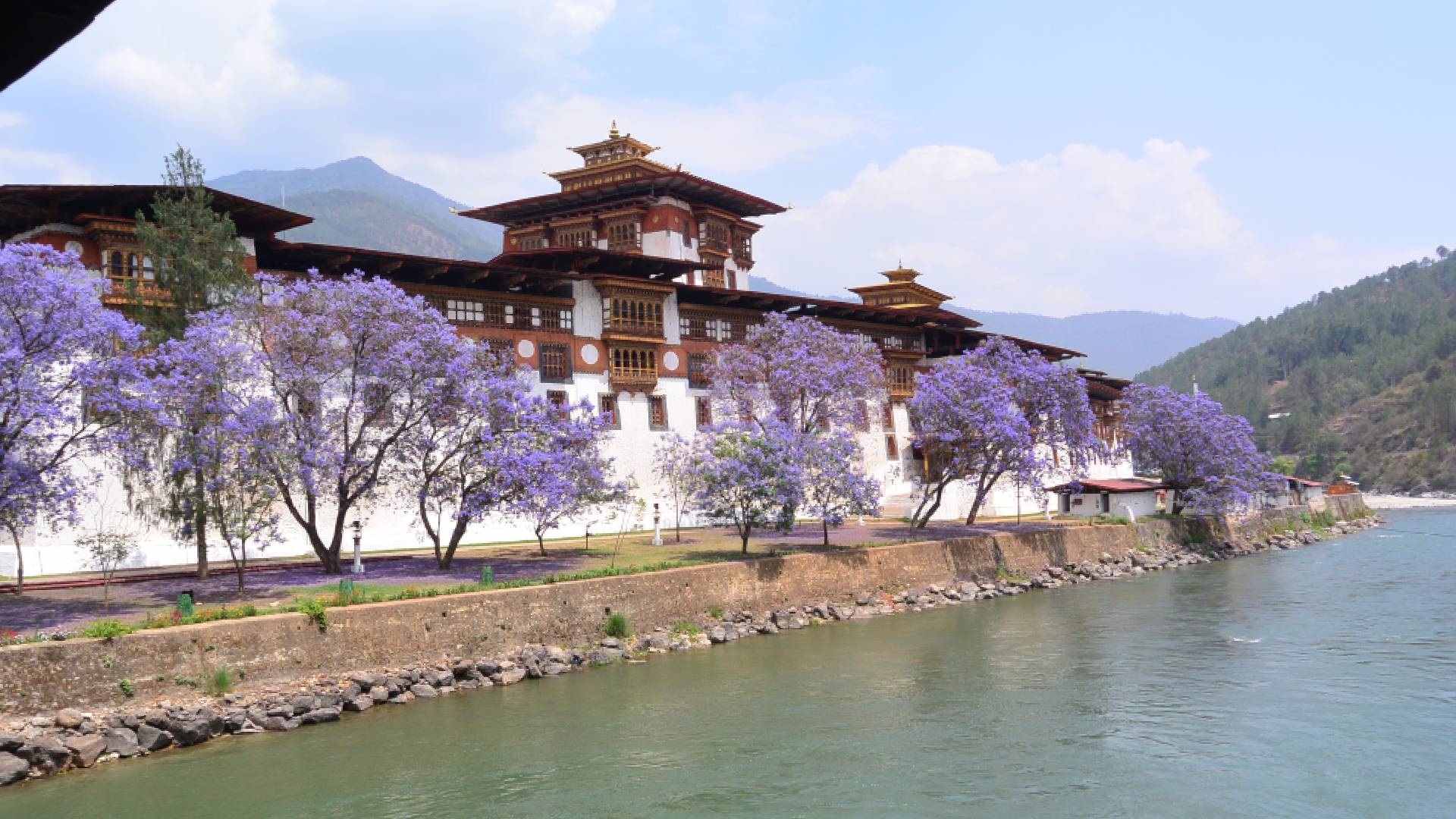 Spring and Punakha Dzong
